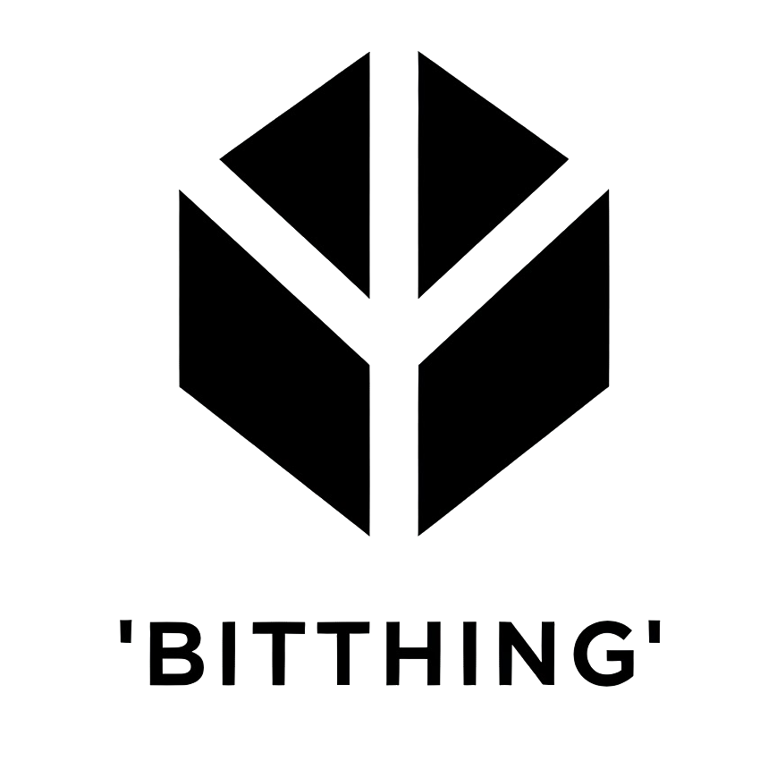 bitthing e.U. Logo
